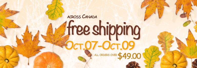 FREE SHIPPING over 49$ – just 3 days!