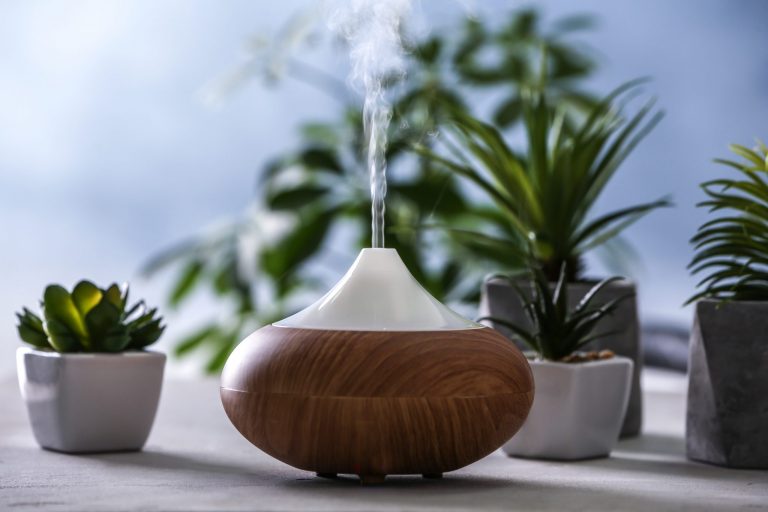 What to Look For in an Essential Oil Diffuser