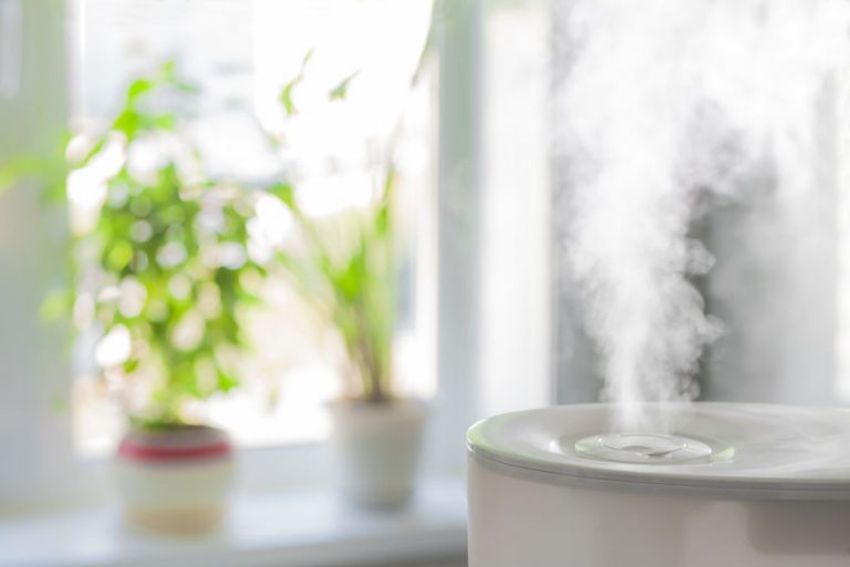 What Do You Need to Consider Before Buying a Humidifier – see here!